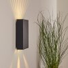 Benin Buiten muurverlichting LED Zwart, 2-lichts