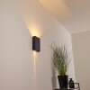 Benin Buiten muurverlichting LED Zwart, 2-lichts