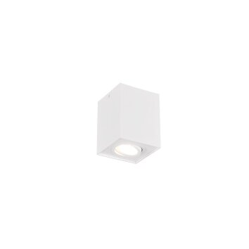 Trio BISCUIT Plafondlamp Wit, 1-licht