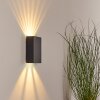 Benin Buiten muurverlichting LED Zwart, 2-lichts