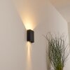 Benin Buiten muurverlichting LED Zwart, 2-lichts