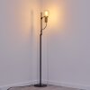 Kirehito Staande lamp Goud, Messing, Zwart, 1-licht