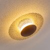 Sunrise Plafondlamp LED Goud, Roest, 1-licht