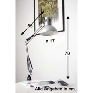 Brilliant Hobby Bureauklem licht roestvrij staal, Titan, 1-licht