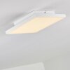 Bankura Plafondlamp LED Wit, 1-licht