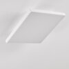 Bankura Plafondlamp LED Wit, 1-licht