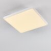 Bankura Plafondlamp LED Wit, 1-licht