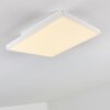 Bankura Plafondlamp LED Wit, 1-licht