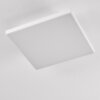 Bankura Plafondlamp LED Wit, 1-licht