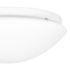 Steinhauer Lotti Plafondlamp LED Wit, 1-licht