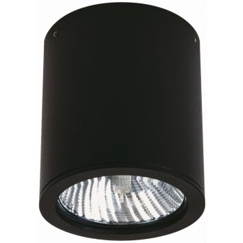 Albert 2130 Plafond opbouw verlichting Zwart, 1-licht