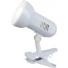 Globo BASIC Spotlamp Wit, 1-licht