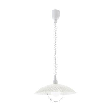 Eglo ALVEZ Hanger Wit, 1-licht