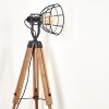 Cetona Staande lamp Hout licht, 1-licht