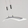 Delaware Hanglamp LED Zilver, 1-licht