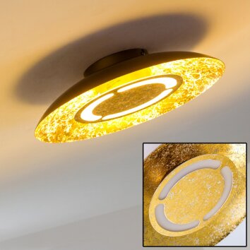 Kinosis Plafondlamp LED Goud, 1-licht