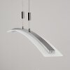 Delaware Hanglamp LED Zilver, 1-licht