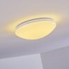 Brighton Plafondlamp LED Wit, 1-licht, Afstandsbediening, Kleurwisselaar