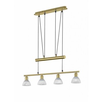 Trio LEVISTO Hanglamp LED Messing, 4-lichts