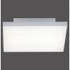 Paul Neuhaus FRAMELESS Plafondlamp LED Wit, 1-licht, Afstandsbediening