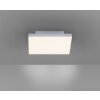 Paul Neuhaus FRAMELESS Plafondlamp LED Wit, 1-licht, Afstandsbediening