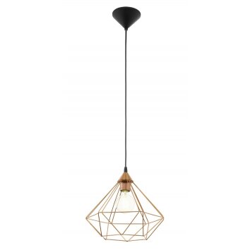 Eglo TARBES Hanglamp Zwart, 1-licht