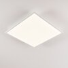 Antria Plafondlamp LED Wit, 1-licht