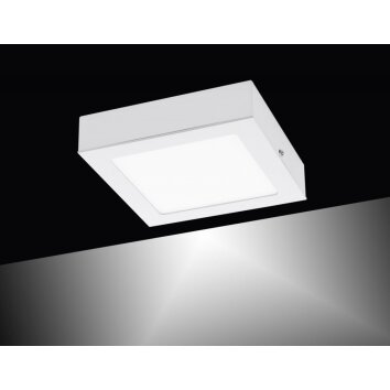 Leuchten-Direkt OSKAR Plafondlamp LED Wit, 1-licht