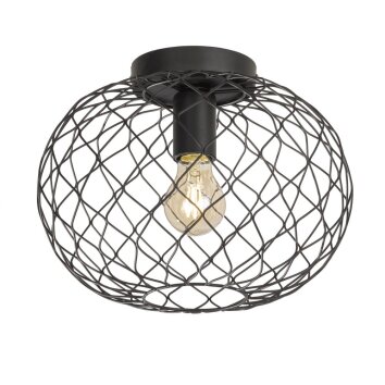 Fischer & Honsel living Justin Plafondlamp Zwart, 1-licht