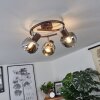 Arconciel Plafondlamp Bruin, 3-lichts