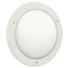 Albert 6409 Buitenshuis plafond verlichting LED Wit, 1-licht