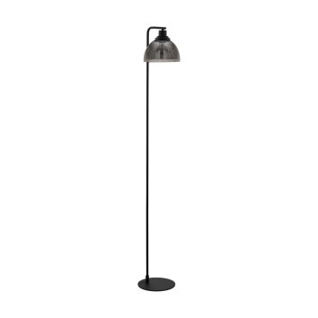 EGLO BELESER Staande lamp Zwart, 1-licht