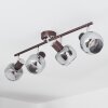 Arconciel Plafondlamp Bruin, 4-lichts