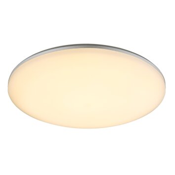 Globo Buitenshuis plafond verlichting LED Zilver, 1-licht