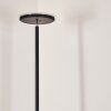 Wonsbek Staande lamp LED Zwart, 1-licht