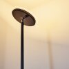 Wonsbek Staande lamp LED Zwart, 1-licht