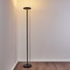 Wonsbek Staande lamp LED Zwart, 1-licht