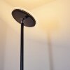 Wonsbek Staande lamp LED Zwart, 1-licht