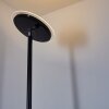 Wonsbek Staande lamp LED Zwart, 1-licht