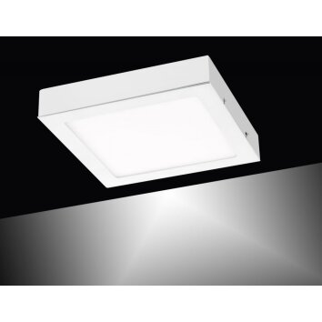 Leuchten-Direkt OSKAR Plafondlamp LED Wit, 1-licht