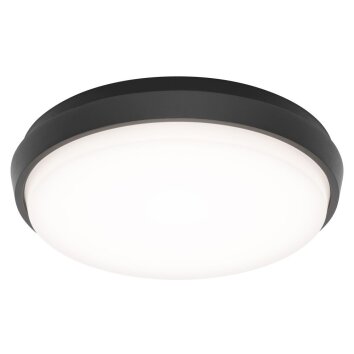 LCD TYP 5066 Buitenshuis plafond verlichting LED Zwart, 1-licht