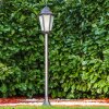 Hongkong Frost Buiten staande lamp Zwart, 1-licht