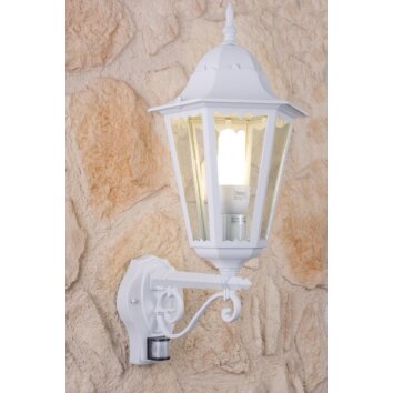 Lutec BRISTOL Buiten muurverlichting Transparant, Helder, Wit, 1-licht, Bewegingsmelder