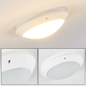 Grafton Buitenshuis plafond verlichting Wit, 1-licht