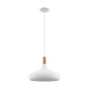 Eglo SABINAR Hanger Wit, 1-licht