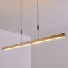 Deshka Hanglamp LED Zilver, 1-licht