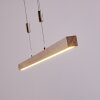 Deshka Hanglamp LED Zilver, 1-licht