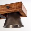 Oksbol Hanglamp Hout donker, Zwart, 5-lichts