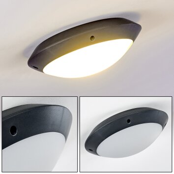 Grafton Buitenshuis plafond verlichting Antraciet, 1-licht