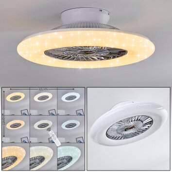 Petrovac plafondventilator LED Chroom, Wit, 1-licht, Afstandsbediening